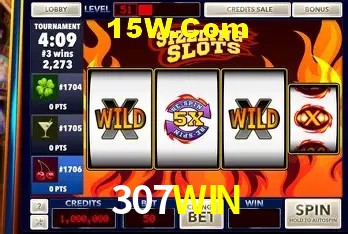 307WIN — tela de confirmação de transferência PIX de entrada